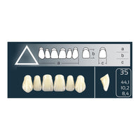 Dents Cross Linked Anterieures Haut Forme 35