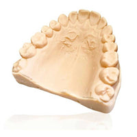 Dima Print Stone Résine 3D Kulzer - Impression Modèles Dentaires Beige
