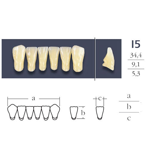 Dents  Cross Linked 2 Antérieures Bas - Forme I5 Teintes Vita au choix
