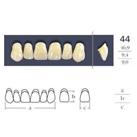 Denti collegati a croce quadrata anteriore - 44 forma - scelta.