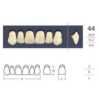 Denti collegati a croce quadrata anteriore - 44 forma - scelta.