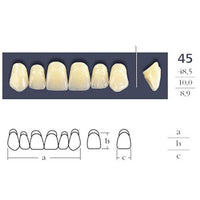 Dents  Cross Linked Antérieures Carrées - Forme 45 - Teintes au choix.