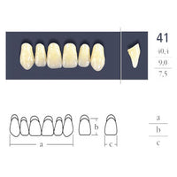 Denti collegati a croce quadrata anteriore - Forma 41 - Scelta.