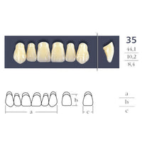 Dents  Cross Linked Triangulaire Carrée - Forme 35 - Teintes au choix.
