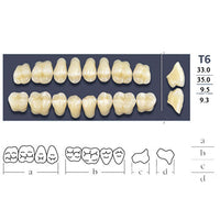 Dents Cross Linked Postérieures Forme T6 - Choix Plaquette Haut ou Bas