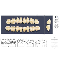Dentes cruzados posteriores T2 - Escolha alta ou baixa brochura